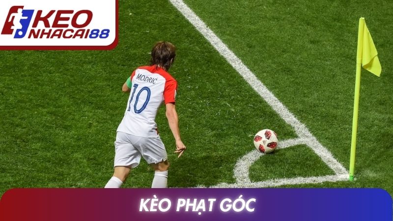 Kèo Phạt Góc: Luật Tính, Phân Loại Và Kinh Nghiệm Theo Dõi 1 Kèo Phạt Góc
