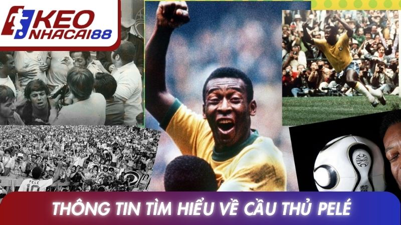 Pelé Và Hành Trình Sự Nghiệp Huy Hoàng Của Vua Bóng Đá 2 Thông tin tìm hiểu về cầu thủ Pelé
